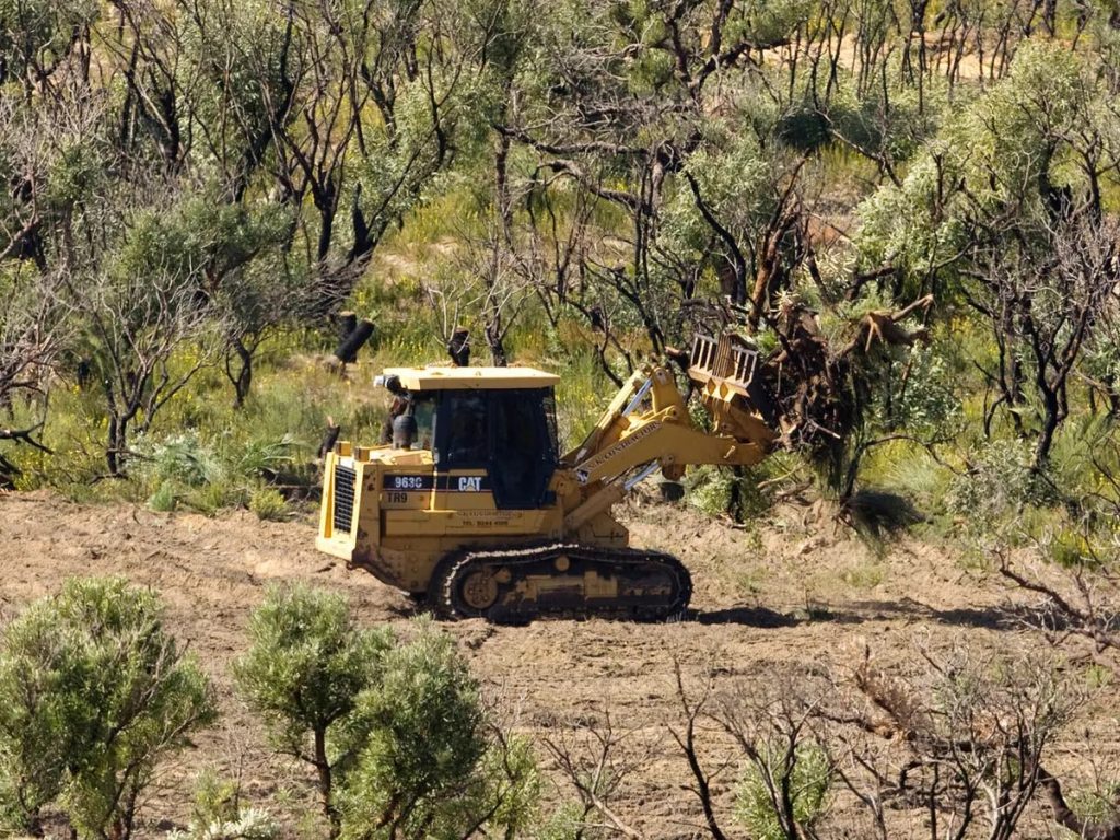 Land Clearing