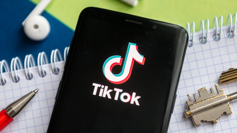 tiktok video downloader